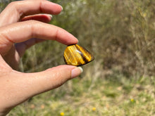 Charger l'image dans la galerie, Oeil de tigre 78