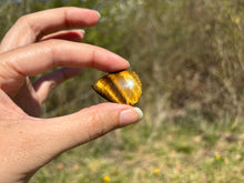 Charger l'image dans la galerie, Oeil de tigre 78