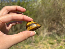 Charger l'image dans la galerie, Oeil de tigre 79