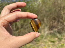 Charger l'image dans la galerie, Oeil de tigre 79