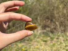 Charger l'image dans la galerie, Oeil de tigre 80