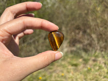 Charger l'image dans la galerie, Oeil de tigre 80