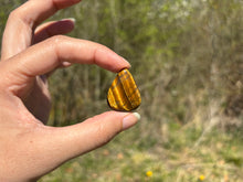 Charger l'image dans la galerie, Oeil de tigre 80