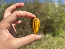 Charger l'image dans la galerie, Oeil de tigre 83