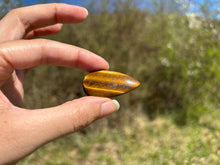 Charger l'image dans la galerie, Oeil de tigre 83