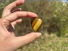 Charger l'image dans la galerie, Oeil de tigre 84