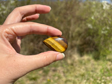 Charger l'image dans la galerie, Oeil de tigre 84