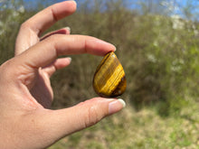 Charger l'image dans la galerie, Oeil de tigre 84