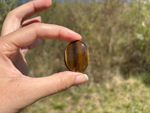 Charger l'image dans la galerie, Oeil de tigre 85