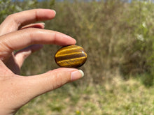 Charger l'image dans la galerie, Oeil de tigre 85