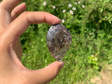 Charger l'image dans la galerie, Agate sagénitique 10