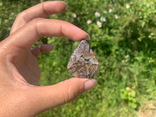 Charger l'image dans la galerie, Agate sagénitique 11