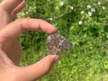 Charger l'image dans la galerie, Agate sagénitique 11