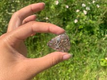 Charger l'image dans la galerie, Agate sagénitique 11