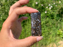 Charger l'image dans la galerie, Agate sagénitique 12