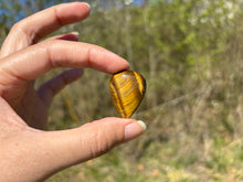 Charger l'image dans la galerie, Oeil de tigre 87