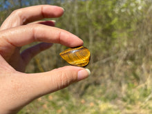 Charger l'image dans la galerie, Oeil de tigre 87