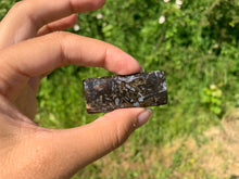 Charger l'image dans la galerie, Agate sagénitique 12