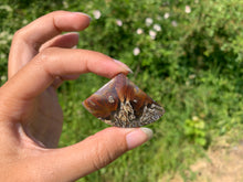 Charger l'image dans la galerie, Agate sagénitique 14