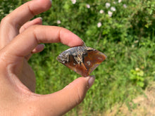 Charger l'image dans la galerie, Agate sagénitique 14