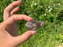 Charger l'image dans la galerie, Agate sagénitique 13