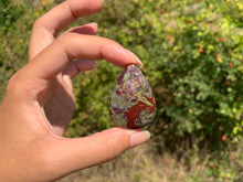 Charger l'image dans la galerie, Jaspe Sang de Dragon 23