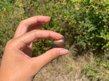 Charger l'image dans la galerie, Jaspe héliotrope 25