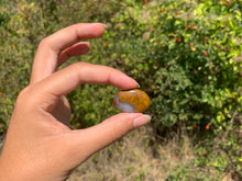 Charger l'image dans la galerie, Jaspe héliotrope 26