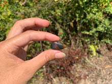 Charger l'image dans la galerie, Jaspe héliotrope 28