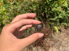 Charger l'image dans la galerie, Jaspe héliotrope 28