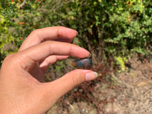 Charger l'image dans la galerie, Jaspe héliotrope 28