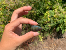 Charger l'image dans la galerie, Jaspe héliotrope 29