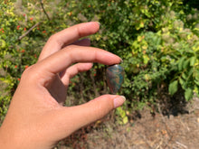 Charger l'image dans la galerie, Jaspe héliotrope 29