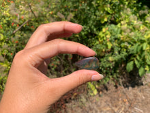 Charger l'image dans la galerie, Jaspe héliotrope 29