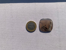 Charger l'image dans la galerie, Agate sagénitique 17