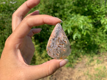 Charger l'image dans la galerie, Agate sagénitique 19