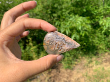 Charger l'image dans la galerie, Agate sagénitique 19