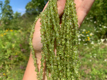 Charger l'image dans la galerie, Perles en péridot, forme chips