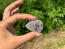 Charger l'image dans la galerie, Agate sagénitique 20