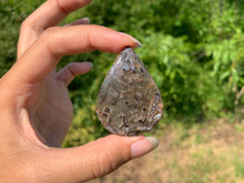 Charger l'image dans la galerie, Agate sagénitique 22