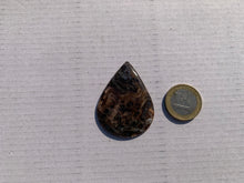 Charger l'image dans la galerie, Agate sagénitique 22