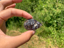 Charger l'image dans la galerie, Agate sagénitique 27