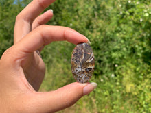 Charger l'image dans la galerie, Agate sagénitique 28