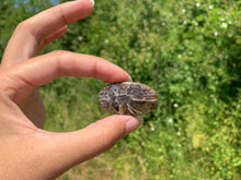 Charger l'image dans la galerie, Agate sagénitique 28