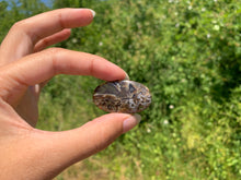 Charger l'image dans la galerie, Agate sagénitique 28