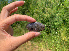 Charger l'image dans la galerie, Agate sagénitique 29