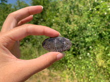 Charger l'image dans la galerie, Agate sagénitique 29