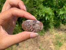 Charger l'image dans la galerie, Agate sagénitique 30