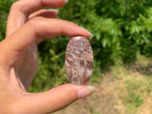 Charger l'image dans la galerie, Agate sagénitique 30