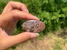 Charger l'image dans la galerie, Agate sagénitique 30